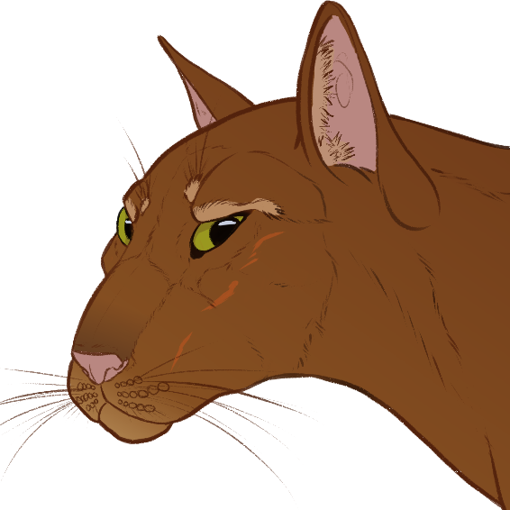 kartoffelcheetah@social.kartoffelcheetah.eu